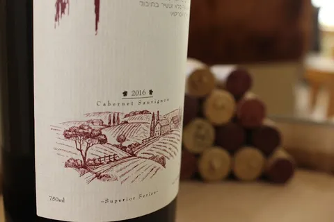 תקריב תווית יין של יקב סודות עם איור כרם מצויר ביד וכיתוב Cabernet Sauvignon 2016