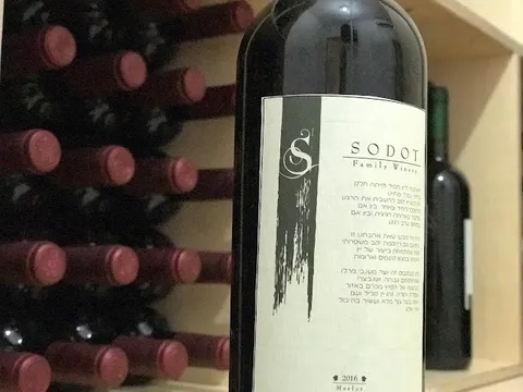 בקבוקים וכוסות יין, מהכרם לבקבוק