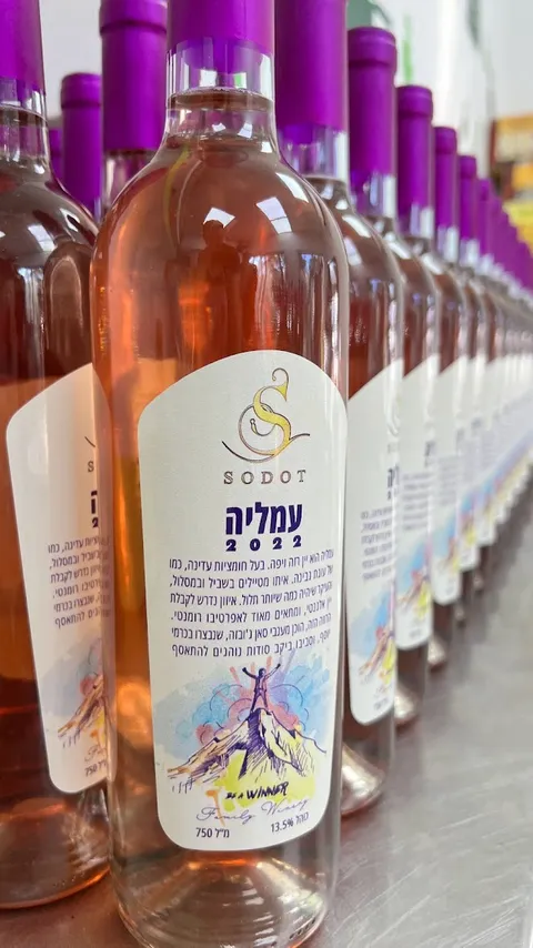 תקריב תווית עמליה 2022 עם לוגו SODOT על בקבוק רוזה בשורת בקבוקים