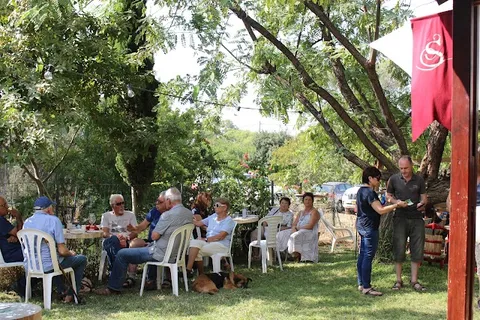 אורחים יושבים בצל העצים בחצר יקב סודות במושב תימורים באירוע השקת היין, עם דגל היקב ברקע