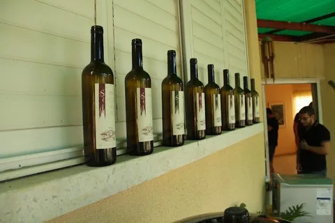 בקבוקים וכוסות יין, השקת היקב 2016
