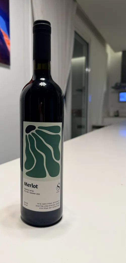 Merlot bottle, 2024